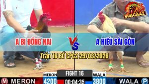 Trận 16 Bồ CPC2 29/3/2026 - Điều Nạp Bướm Còn Ăn 2 Xong Bỏ Chạy Biện Kêu Trời