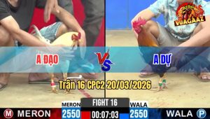 Tran 16 CPC2 20032026 Dieu Xanh Da Nhu Sung Ban DaM Do Te Nhanh Gon 2