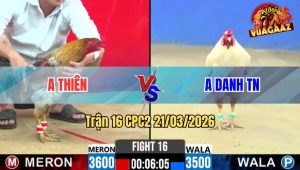 Trận 16 CPC2 21/03/2026 - Uá Đá Như Cây Đập Siết Mấy Chân Đâm Xám Lật Xe
