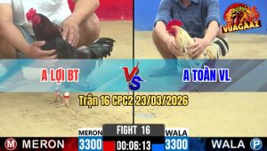 Trận 16 CPC2 23/03/2026 - Bướm Đá Đâm Như Giang Hồ Que Ói Tuyệt Đối Hết Cứu
