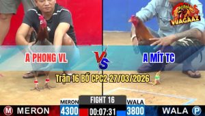 Trận 16 CPC2 27/03/2026 - Xám Đá Điều Muốn Hư Hết Xong Bỏ Ô Thua Bất Ngờ