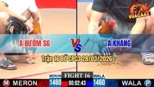 Trận 16 CPC3 28/03/2026 - Gà Tre Bườm Sài Gòn Bất Bại C3 Hôm Nay