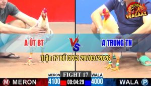 Trận 17 CPC3 29/03/2026 - Bướm Đâm Như Chĩa Hạ Úa Tuyệt Đối