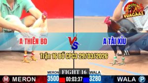 Trận 16 CPC3 29/03/2026 - Xanh Siết 1 Tăng Buông Ra Bướm Té Hư Hình