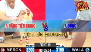 Trận 19 Bồ CPC2 29/3/2026 - Bướm Đá Như Xe Đụng Nhấp Mấy Chân Cú Gãy Dò