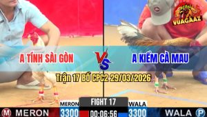 Trận 17 Bồ CPC2 29/3/2026 - Cú Nhanh Nhưng Bướm Đá Đâm Tịch Hơn Cú Lọt Bỏ Chạy