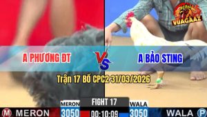 Trận 17 Bồ CPC2 31/3/2026 - Chuối Chớp Cây Bướm Hứng Gãy Dò Rinh Ra