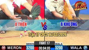 Trận 17 CPC2 16/03/2026 - Khét Canh Chặn Đá Lọt Cây Đâm Que Oí