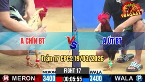 Tran 17 CPC2 19032026 Buom Da Dieu Gay Chan Nhung Khong Thang Duoc Hoa Cay Dang