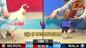 Tran 17 CPC2 20032026 Ua Da Bo Nhu Troi Danh Dieu Gay Canh Thua Nhanh Gon 2