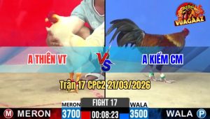 Trận 17 CPC2 21/03/2026 - Điều Anh Kiểm Gặp Con Cọp Đá Không Thấy Đường Về