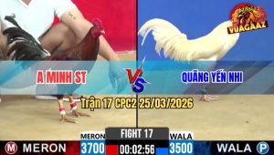 Trận 17 CPC2 25/03/2026 - Úa Canh Chặn Quá Giỏi Điều Vô Ẩu Lật Xe