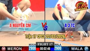 Trận 17 CPC3 22/03/2026 - Xanh Đá Đỏ Banh Hết Xong Bỏ Ô Bất Ngờ