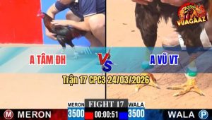 Trận 17 CPC3 24/03/2026 - Điều Tướng Xấu Như Ăn Trộm Vô Đá Vài Chân Lụm Ngọt Gà Cọp