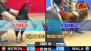 Tran 18 CPC2 19032026 Khet Nhap Vo Da Chan Khet Gay Chan Nhanh Gon