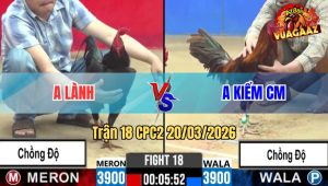 Tran 18 CPC2 20032026 Khet Da Cay Qua Nghiet Dam Que Oi Chet Nhanh Gon 1