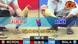 Trận 18 CPC2 21/03/2026 - 2 Con Hàng Nhập Đụng Nhau Kết Qủa Xanh Về