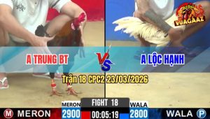 Trận 18 CPC2 23/03/2026 - Bướm Đá Chân Nào Cũng Đâm Điều Nát Mình Xỉu Tuyệt Đối
