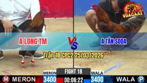 Trận 18 CPC2 25/03/2026 - Que Cọp Đâm Như Chĩa Hạ Khét Nhẹ Nhàng