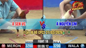 Trận 18 CPC2 27/03/2026 - Điều Nhấp Mấy Chân Đâm Úa Idol Gãy Dò Bỏ Chạy