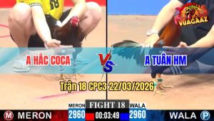 Trận 18 CPC3 22/03/2026 - Que Đá Điều Nằm Xong Bỏ Chạy Kết Quả Hòa Gay Cấn