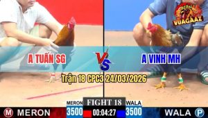 Trận 18 CPC3 24/03/2026 - Cú Đá Chân Nào Cũng Đâm Điều Ngủm Củ Tỏi Trong Tay Nước Đầu
