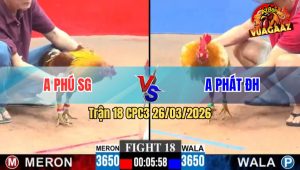 Trận 18 CPC3 26/03/2026 - Khét Bông Đâm Cựa Giỏi Đỏ Không May Trúng Cựa Hết Cứu