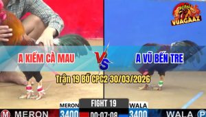 Trận 19 Bồ CPC2 30/3/2026 - Đỏ Siết Mấy Chân Đâm Xanh Chạy Kêu Miệng