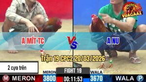 Tran 19 CPC2 20032026 Dieu Chap Sau Da May Chan Dam Bong Guc Tai Cho 1 1