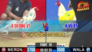 Trận 19 CPC2 23/03/2026 - Xanh Tốc Độ Đá Đỏ Không Có Đường Ra