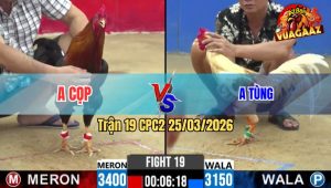Trận 19 CPC2 25/03/2026 - Camelo Tùng Mìn Có Chân Cúp Điện Quá Giỏi Điều Thua Ngược