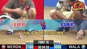 Trận 19 CPC2 27/03/2026 - Úa Canh Chặn Đâm Cú Cấy Té Nhẹ Nhàng