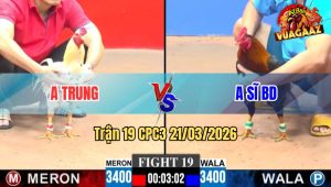 Trận 19 CPC3 21/03/2026 - Đỏ Canh Chặn Tốt Lì Đòn Ra Chân Hiểm Hạ Xanh Đẳng Cấp