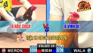 Trận 19 CPC3 22/03/2026 - Vàng Hàng Hiệu Bảo Lộc Đá 3 Chân Bưng Hắc Coca Ra Ngoài