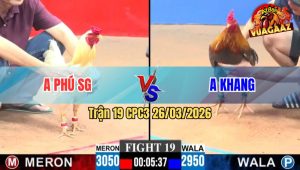 Trận 19 CPC3 26/03/2026 - Xanh Nạp Tới Tấp Đỏ Canh Chặn Đúng Thời Cơ Ra Chân Triệt Hạ