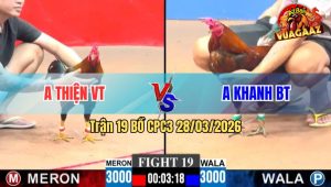 Trận 19 CPC3 28/03/2026 - Đỏ Đá Quá Đá Hạ Xanh Nhanh Lẹ