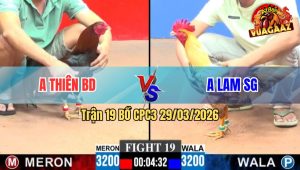 Trận 19 CPC3 29/03/2026 - Khét Đâm Cựa Nghiệt Điều Vào Kính Bỏ Chạy