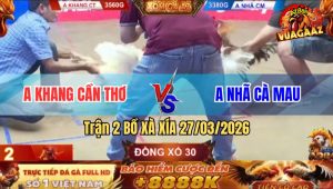 Trận Đấu Đáng Chú Ý Nhất Xà Xía Gà Đang Đá Xả Cựa - Trận 2 Bồ Xà Xía 27/3/2026