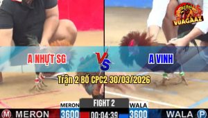 Trận 2 Bồ CPC2 30/3/2026 - Xanh Đá Như Xe Đụng Mấy Chân Đâm Đỏ Sụm Tỳ Thua Nhanh Gọn