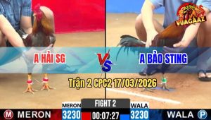 Trận 2 CPC2 17/03/2026 - Que A Bảo Sting Đưa Anh Em Đi Sắm Xe