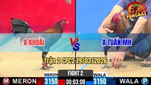 Tran 2 CPC2 19032026 Xanh Canh Chan Che Cap Nguc Dam Do Cung Minh Te