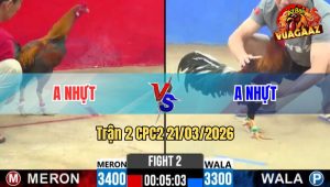 Tran 2 CPC2 21032026 Xanh Da Chan Quyet Dinh Dam Do Cay Guc Tai San 1