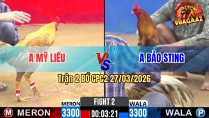 Trận 2 CPC2 27/03/2026 - Mới Xuất 3 Chiêu Anh Kiểm Điểm Trúng Huyệt Chú Mỹ Nằm Tại Chỗ