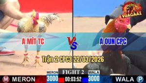 Trận 2 CPC3 22/03/2026 - Điều Đá Như Súng Bắn Đâm Cú Anh Mít Gãy Dò Nhanh Gọn