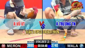 Trận 2 CPC3 24/03/2026 - Điều Ra Chân Nhanh Lẹ Về Nhanh Ở Trận Gà Này