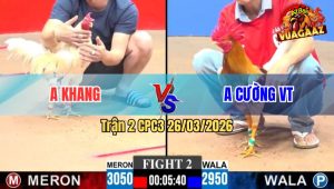 Trận 2 CPC3 26/03/2026 - Bướm Ra Cựa Khủng Hạ Camelo Gọn Gàng