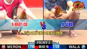 Trận 2 CPC3 28/03/2026 - Điều Cọp Anh Sĩ Phản Kèo Phút Quyết Định