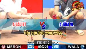 Trận 2 CPC3 29/03/2026 - Xanh Đá Quá Đâm Đỏ Té Xe Trong 1 Nốt Nhạc