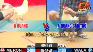 Trận 20 Bồ CPC2 29/3/2026 - Bướm Nhanh Như Điện Chớp Mấy Chân Uá Té