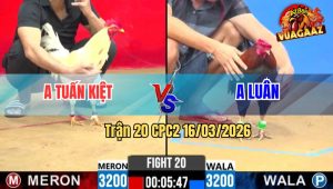 Trận 20 CPC2 16/03/2026 - Bướm Lao Vô Đạp 1 Chân Đâm Điều Té Tại Chỗ